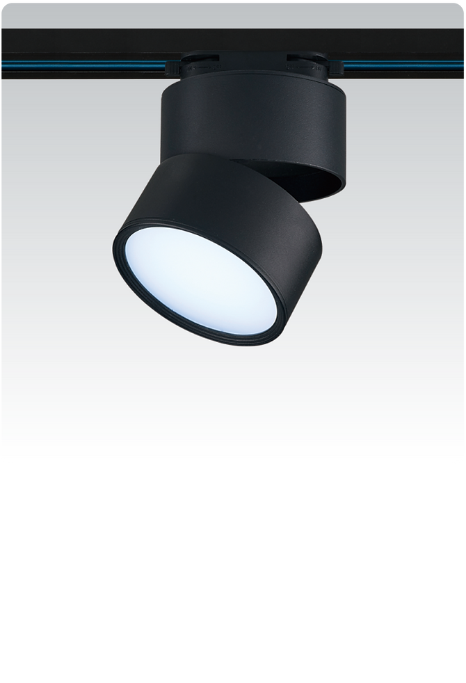 12W SM ADJUSTABLE CAN