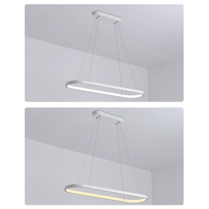 Oval  pendent light