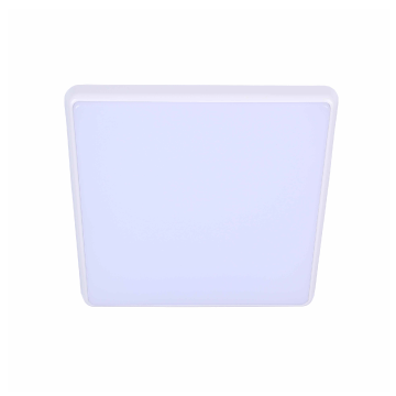 DIMMABLE LED OYSTER LIGHT